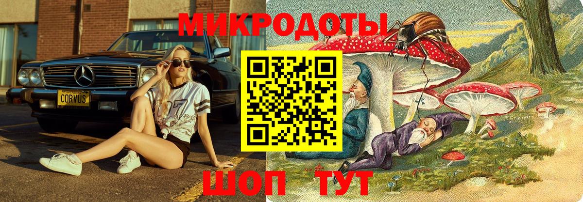 Клинцы  купить наркоту  Вход с VPN  Псилоцибиновые грибы мухоморы  Галлюциногенные грибы Psilocybe 