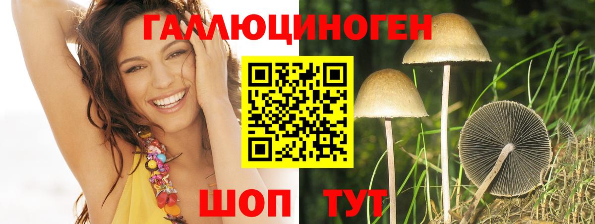 Псилоцибиновые грибы прущие грибы Клинцы